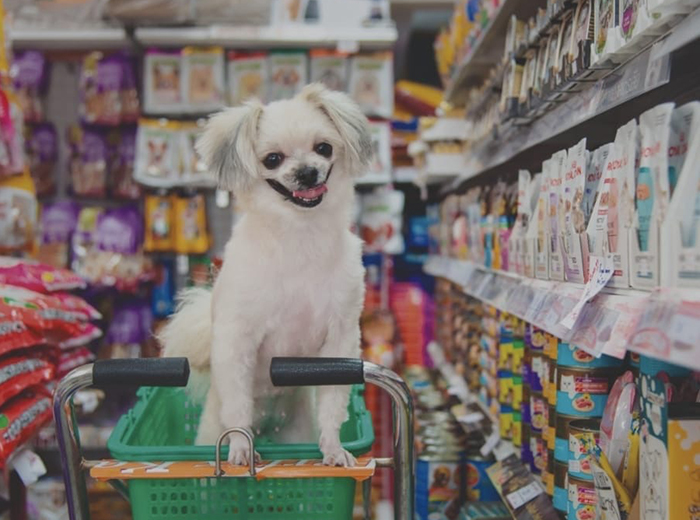 12_petshop_2